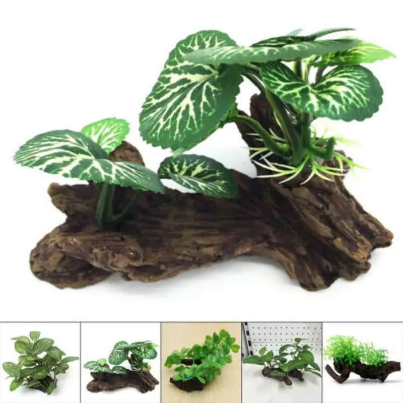Planted Aquarium With Driftwood - Tronco di albero di tartaruga artificiale