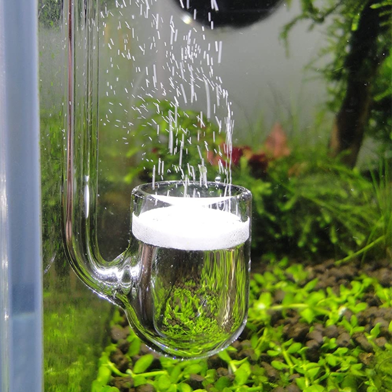 Aquarium Plant Design - D0AD Diffusore CO2 in vetro per