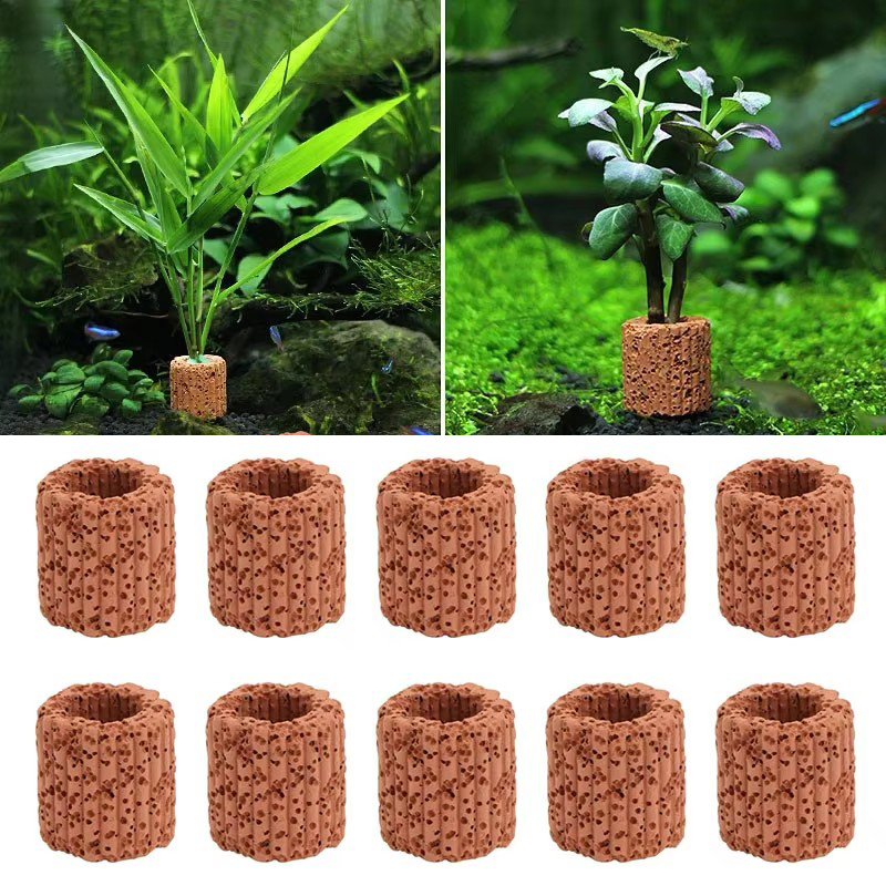 Aquarium Plant Design - Anello fisso per piante acquatiche per