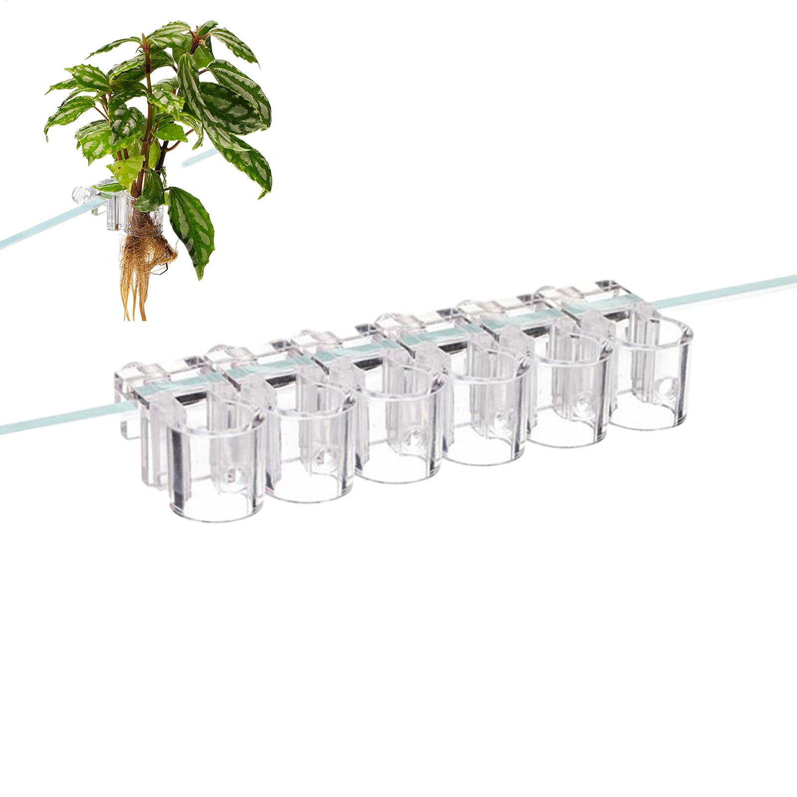 Planted Aquarium Mini - Mini Vaso per Piante da Acquario,