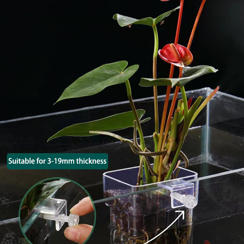 Aquarium For Planted Tank - Multifunzionale Fish Aquarium Water Grass Planting