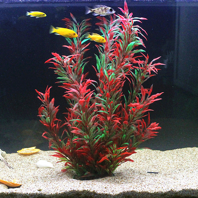 Aquarium For Planted Tank - 50CM Acquario artificiale Piante rare Acquario