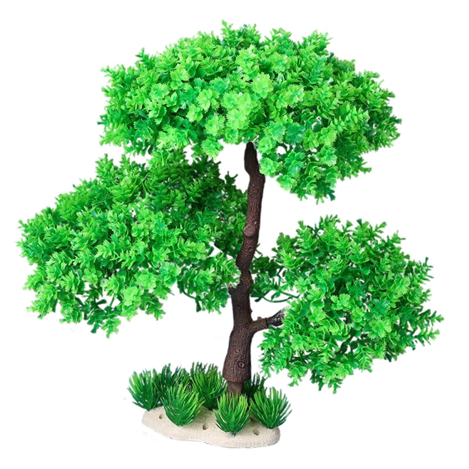 Planted Aquarium Models - Piante per Acquario d'Acqua Dolce, Accessori