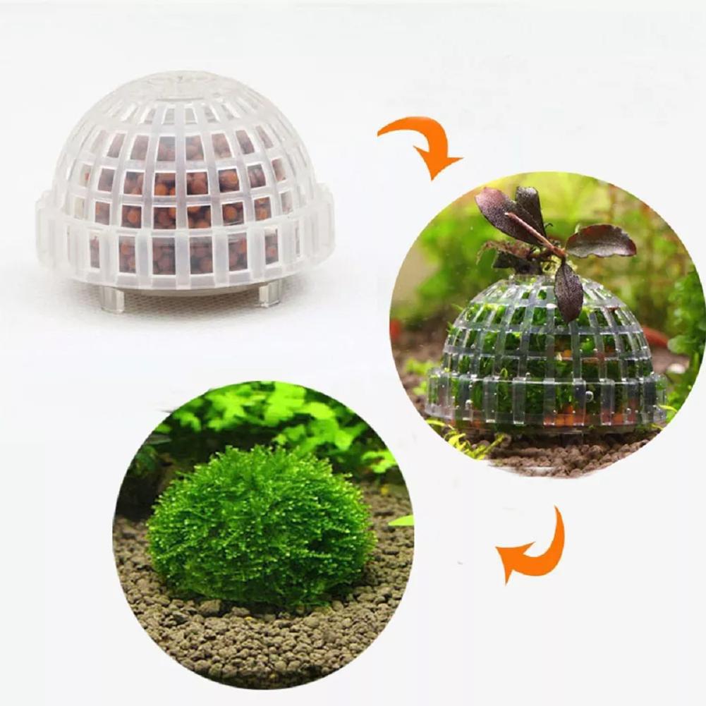 1pc Acquario Muschio Palla Tit - Planted Aquarium Models recensione e prezzo