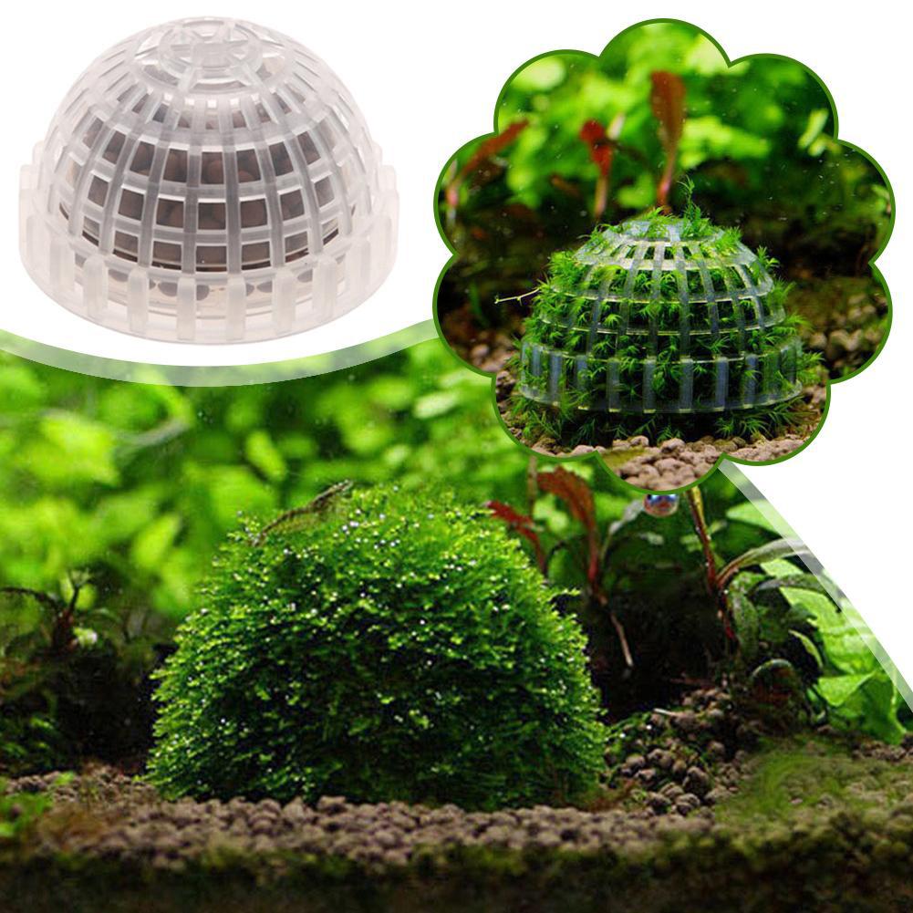 1pc Acquario Muschio Palla Tit - Planted Aquarium Models recensione e prezzo