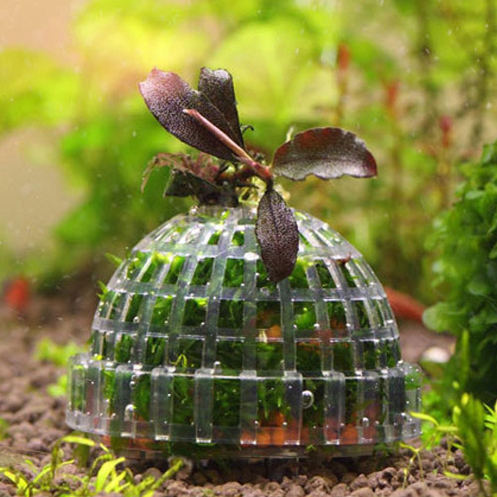 1pc Acquario Muschio Palla Tit - Planted Aquarium Models recensione e prezzo