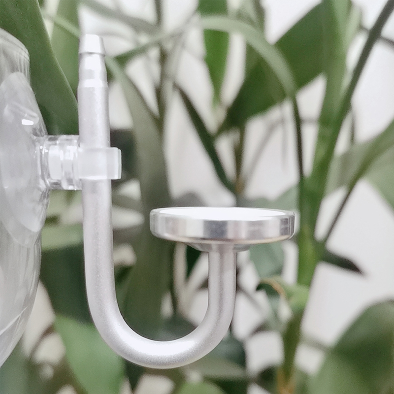 Atomizzatore CO2 per Acquario  - Aquarium Plant No Co2 recensione e prezzo