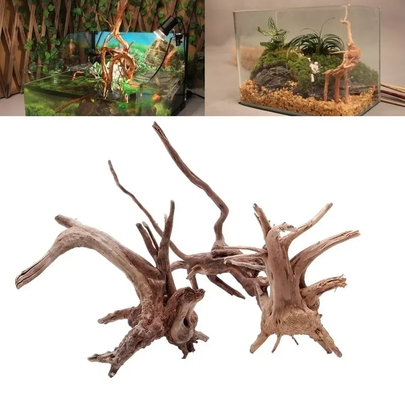 Tronco d'albero naturale Drift - Planted Aquarium With Driftwood recensione e prezzo