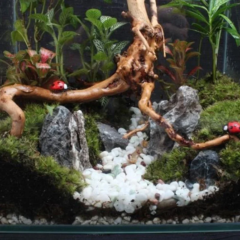 Tronco d'albero naturale Drift - Planted Aquarium With Driftwood recensione e prezzo