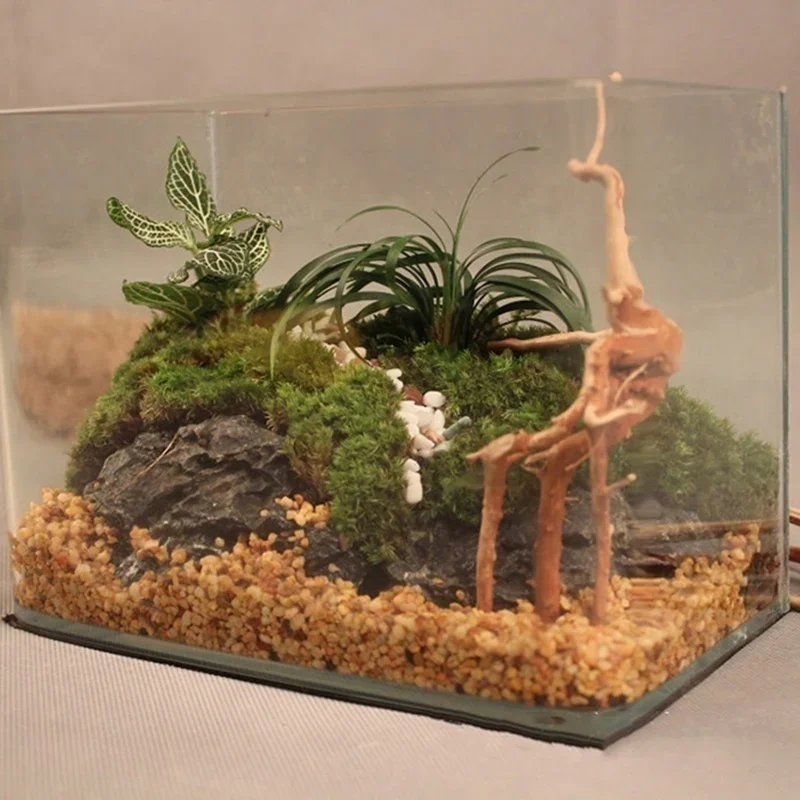 Tronco d'albero naturale Drift - Planted Aquarium With Driftwood recensione e prezzo