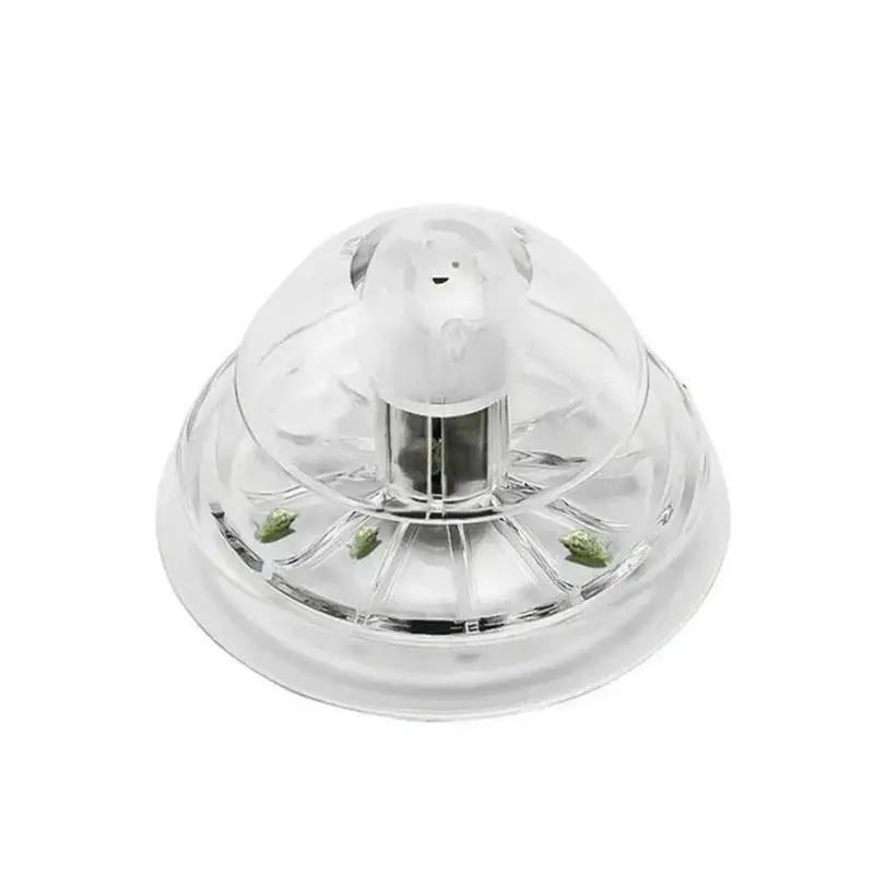 Nuova Trappola per Lumache in  - Aquarium For Planted Tank recensione e prezzo