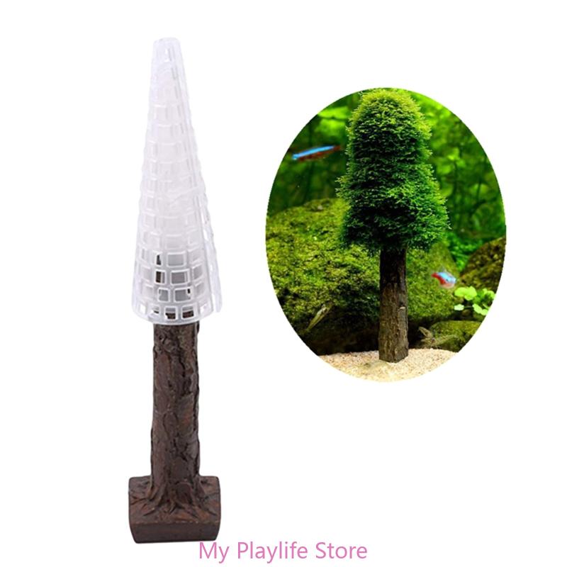 Decorazione del muschio dell'a - Planted Aquarium Mini recensione e prezzo