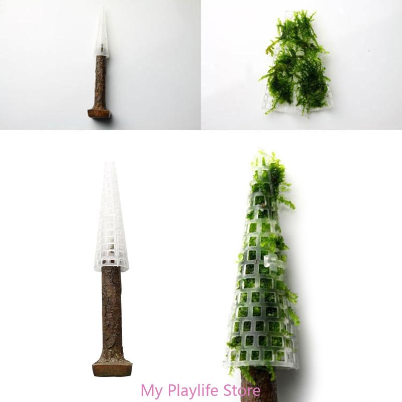 Decorazione del muschio dell'a - Planted Aquarium Mini recensione e prezzo