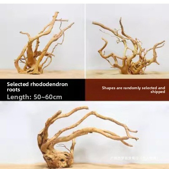 Rami di legno naturale per la  - Planted Aquarium With Driftwood recensione e prezzo
