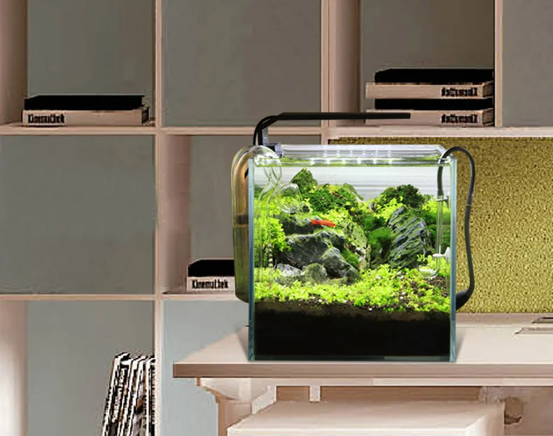Chihiros Serie C Pianta in sti - Planted Aquarium Mini recensione e prezzo