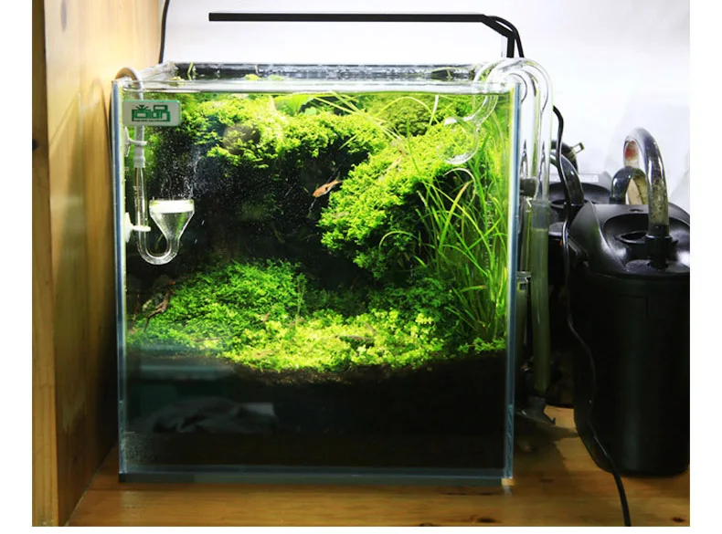 Chihiros Serie C Pianta in sti - Planted Aquarium Mini recensione e prezzo