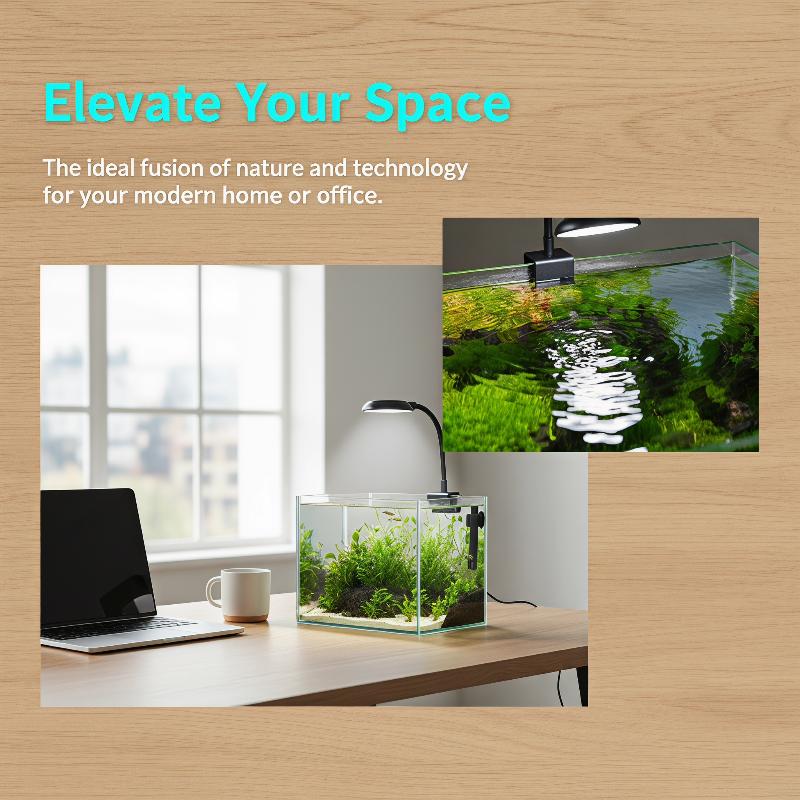 Lampada LED USB per Acquario,  - Planted Aquarium Mini recensione e prezzo