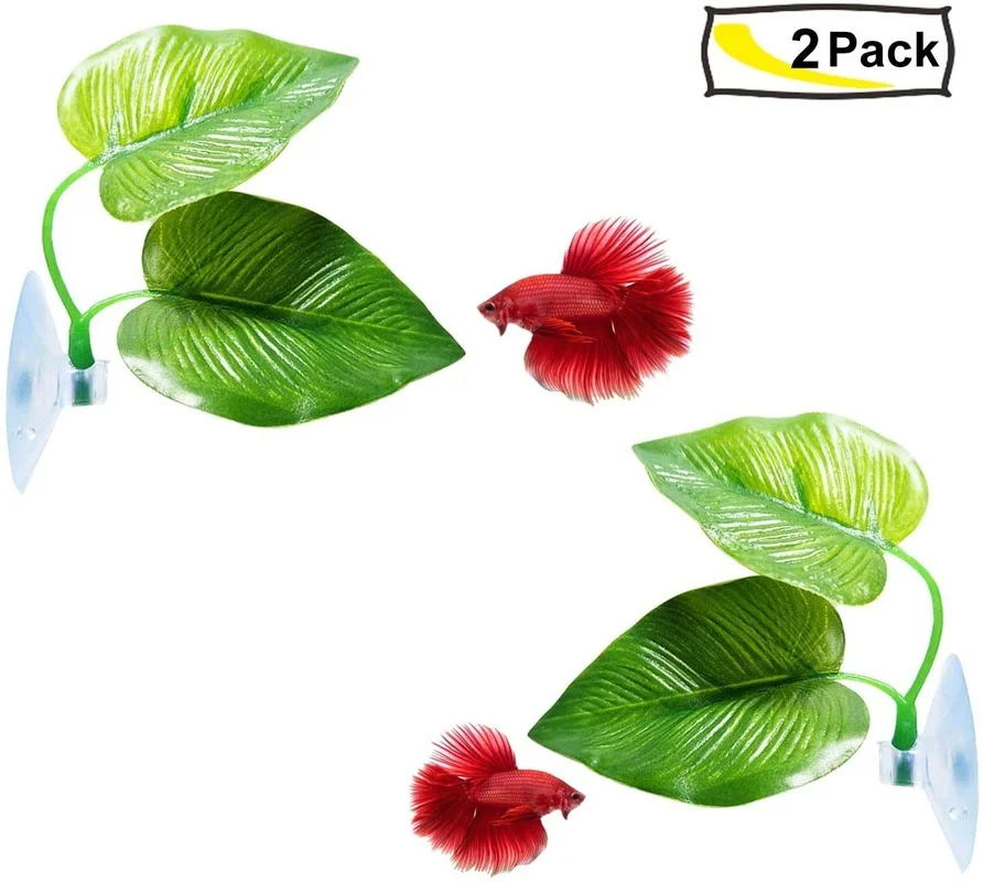 Amaca a foglia di pesce Betta  - Aquarium Plant Design recensione e prezzo