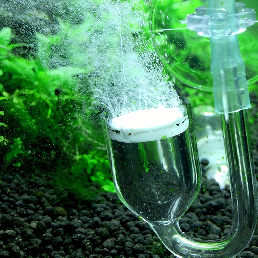 Acquario Vetro CO2 Atomizzator - Aquarium Plant No Co2 recensione e prezzo