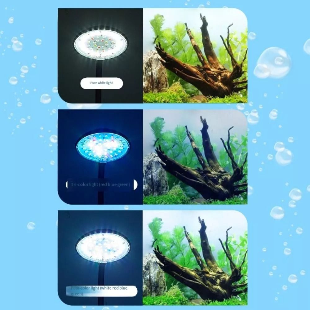 Nuova mini lampada a clip per  - Planted Aquarium Mini recensione e prezzo