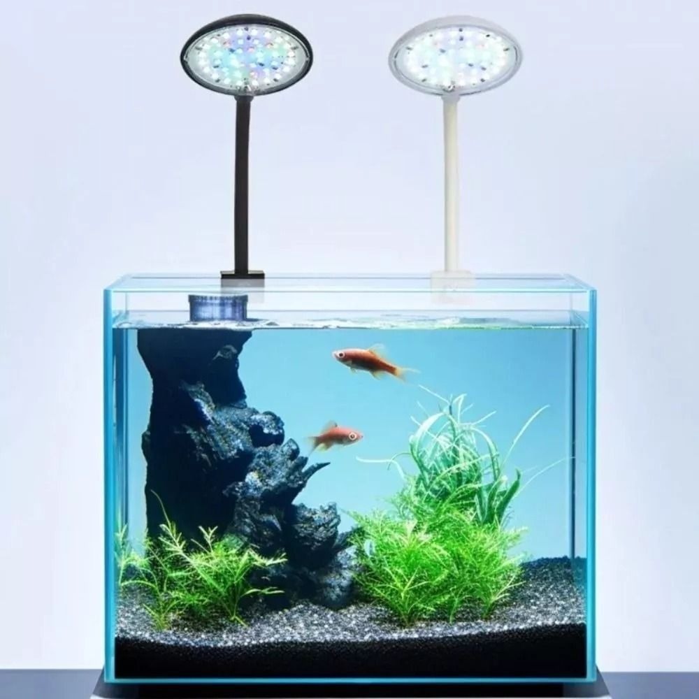 Nuova mini lampada a clip per  - Planted Aquarium Mini recensione e prezzo