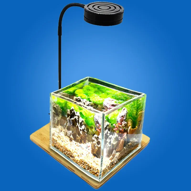 Mini luce per acquario a LED c - Planted Aquarium Mini recensione e prezzo