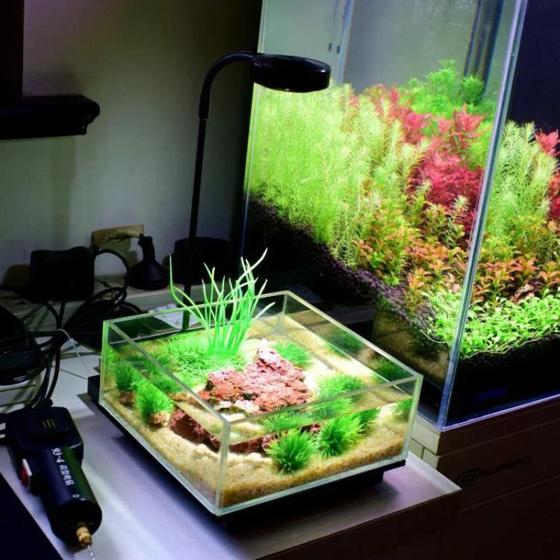 Mini luce per acquario a LED c - Planted Aquarium Mini recensione e prezzo