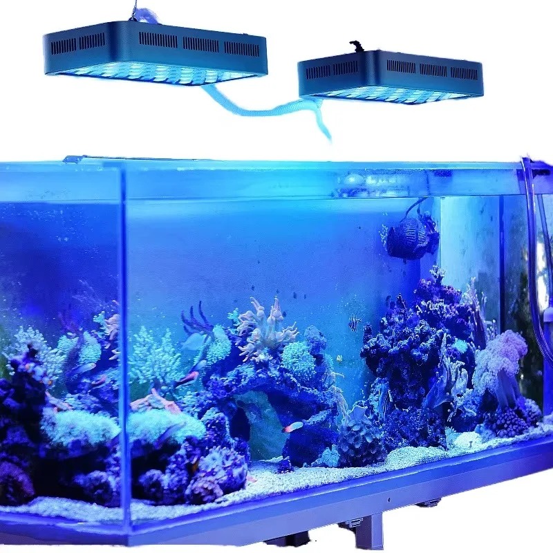 Luce LED per Acquario da 165W  - Planted Aquarium Models recensione e prezzo