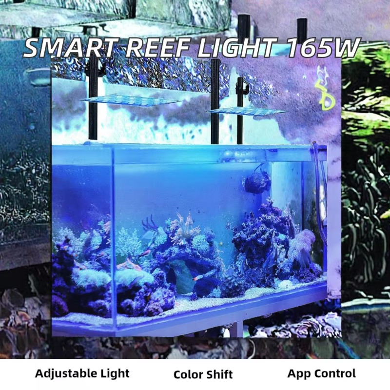 Luce LED per Acquario da 165W  - Planted Aquarium Models recensione e prezzo