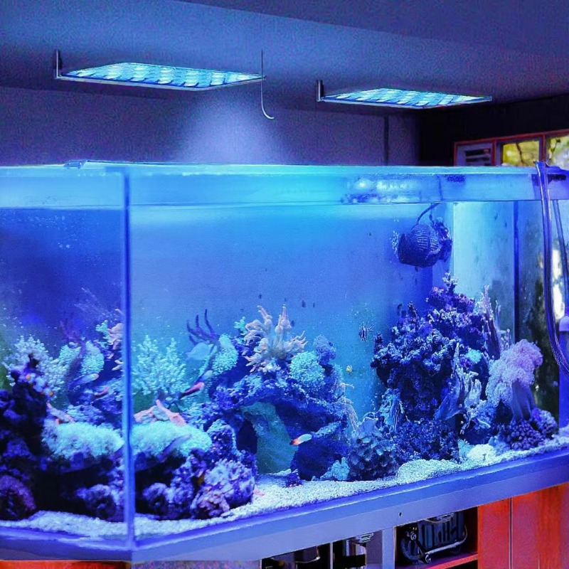 Luce LED per Acquario da 165W  - Planted Aquarium Models recensione e prezzo