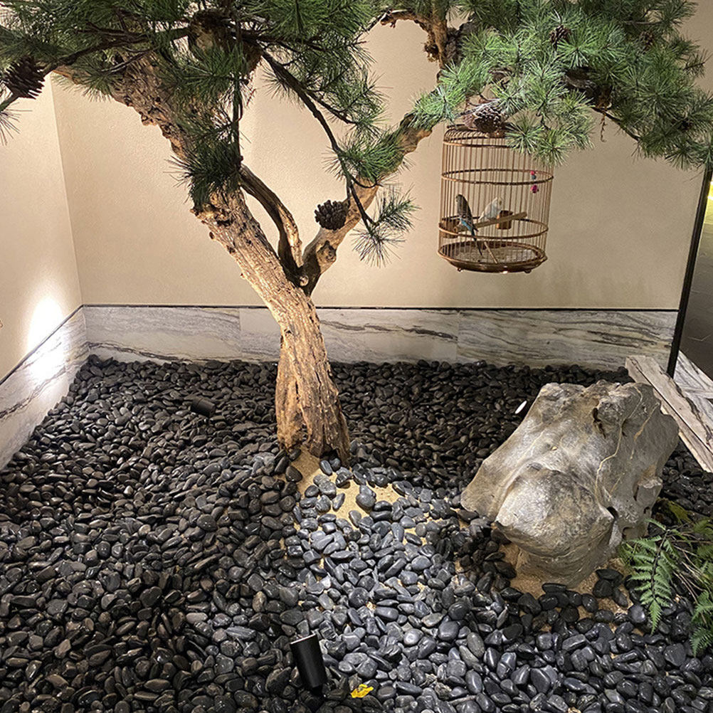 1 Set di Ciottoli per Acquario - Planted Aquarium With Gravel recensione e prezzo