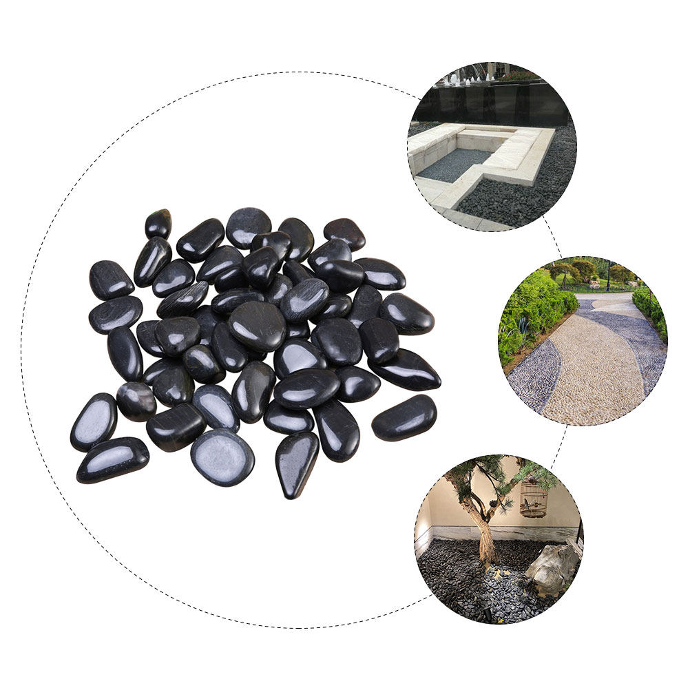 1 Set di Ciottoli per Acquario - Planted Aquarium With Gravel recensione e prezzo