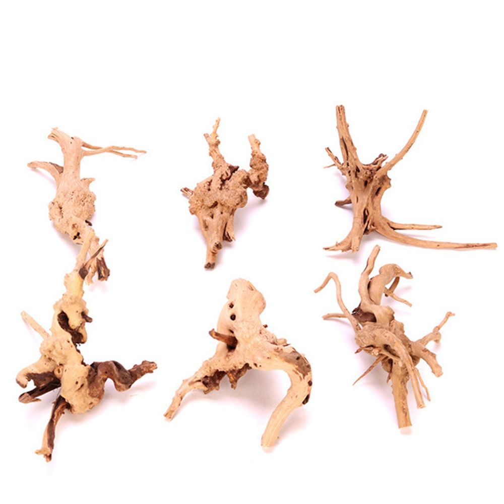Legno N1N Paesaggistica Acquar - Planted Aquarium With Driftwood recensione e prezzo
