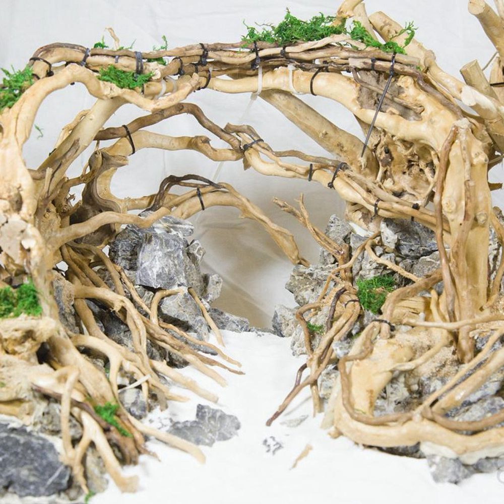 Legno N1N Paesaggistica Acquar - Planted Aquarium With Driftwood recensione e prezzo