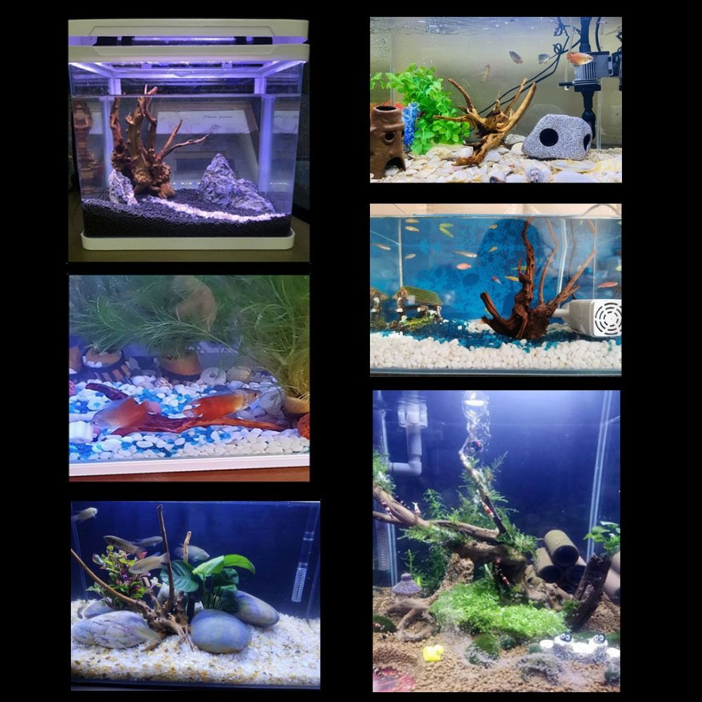 Tronco d'albero naturale decor - Aquarium Planted Tree recensione e prezzo