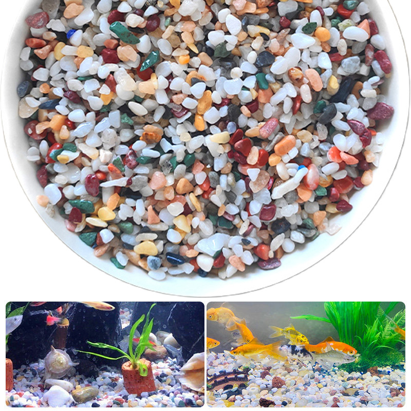 Pietra di ghiaia naturale 200~ - Planted Aquarium With Gravel recensione e prezzo