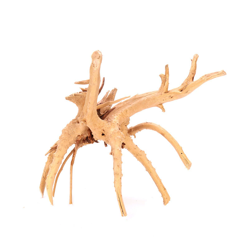 4 Pezzi Decorazioni Naturali i - Planted Aquarium With Driftwood recensione e prezzo