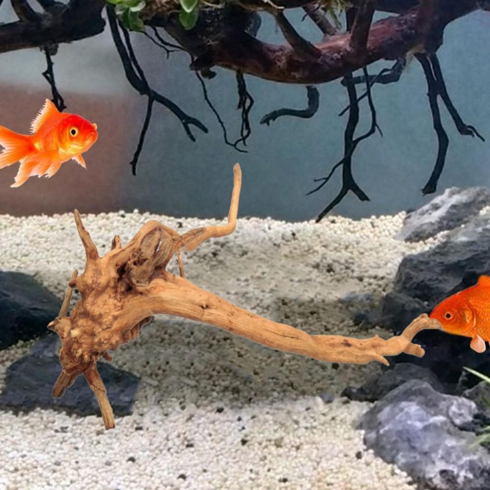 Legno Naturale per Acquario 20 - Planted Aquarium With Driftwood recensione e prezzo