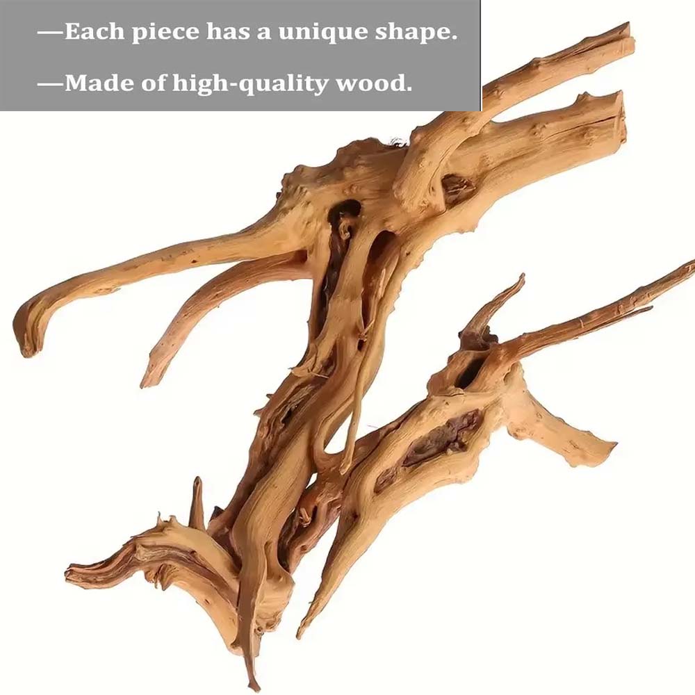 Legno Naturale per Acquario 20 - Planted Aquarium With Driftwood recensione e prezzo