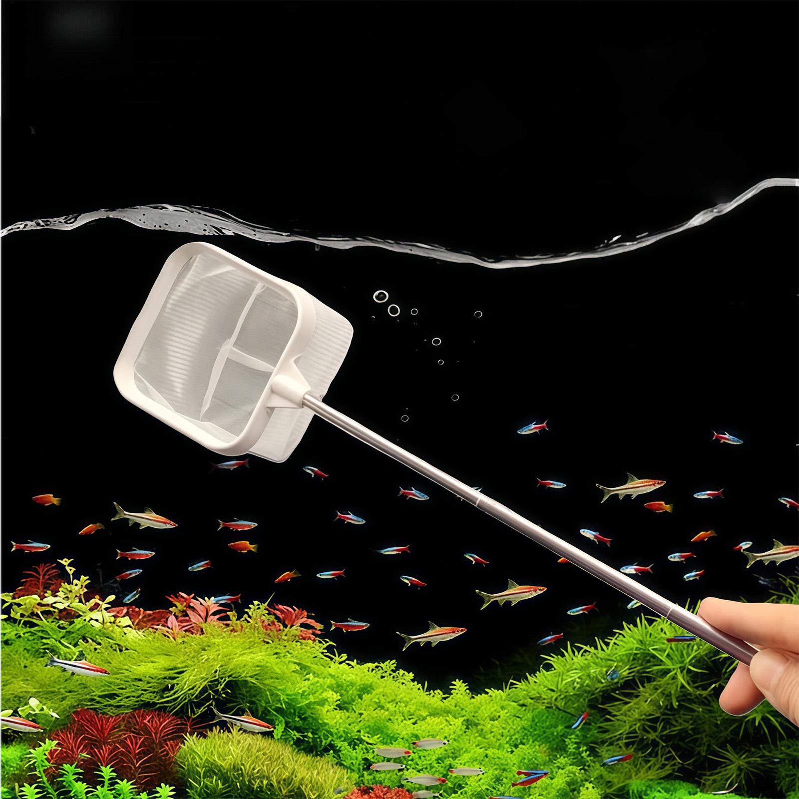 Raccoglitore di foglie per acq - Aquarium Planted Tree recensione e prezzo