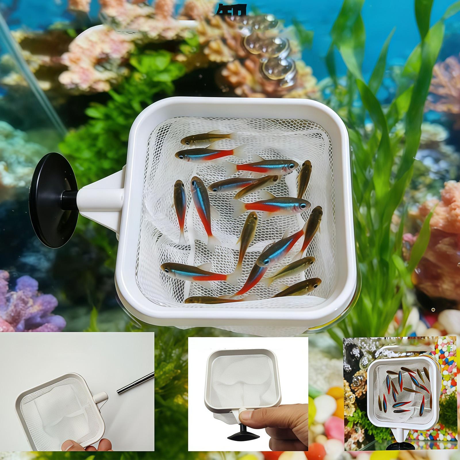 Raccoglitore di foglie per acq - Aquarium Planted Tree recensione e prezzo