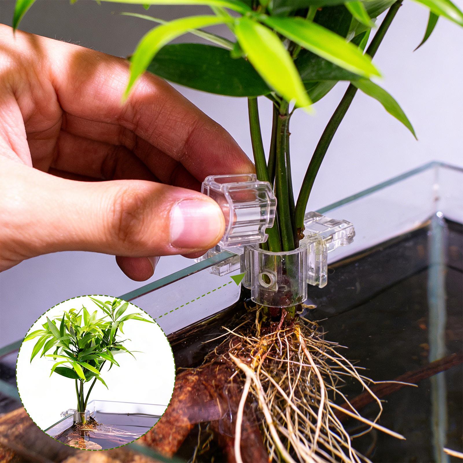Mini Vaso per Piante da Acquar - Planted Aquarium Mini recensione e prezzo