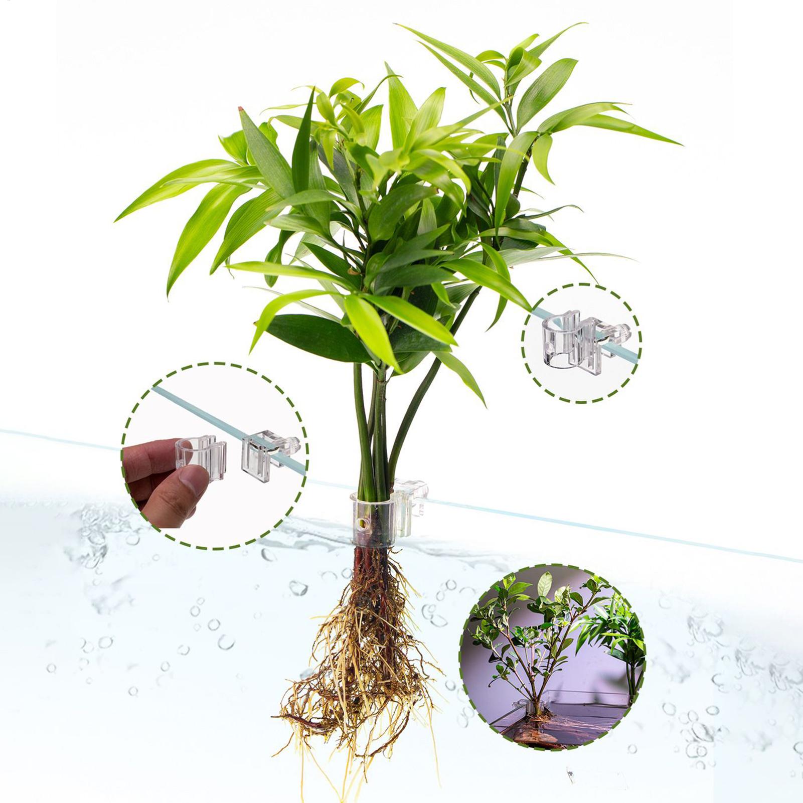Mini Vaso per Piante da Acquar - Planted Aquarium Mini recensione e prezzo