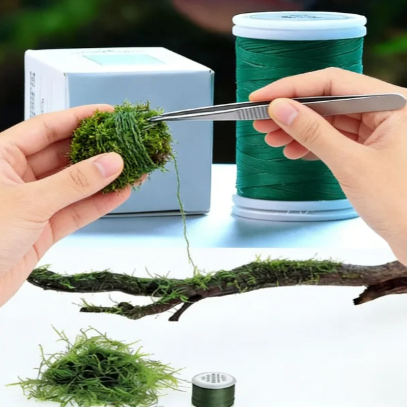 Filo di Muschio Biodegradabile - Planted Aquarium With Driftwood recensione e prezzo