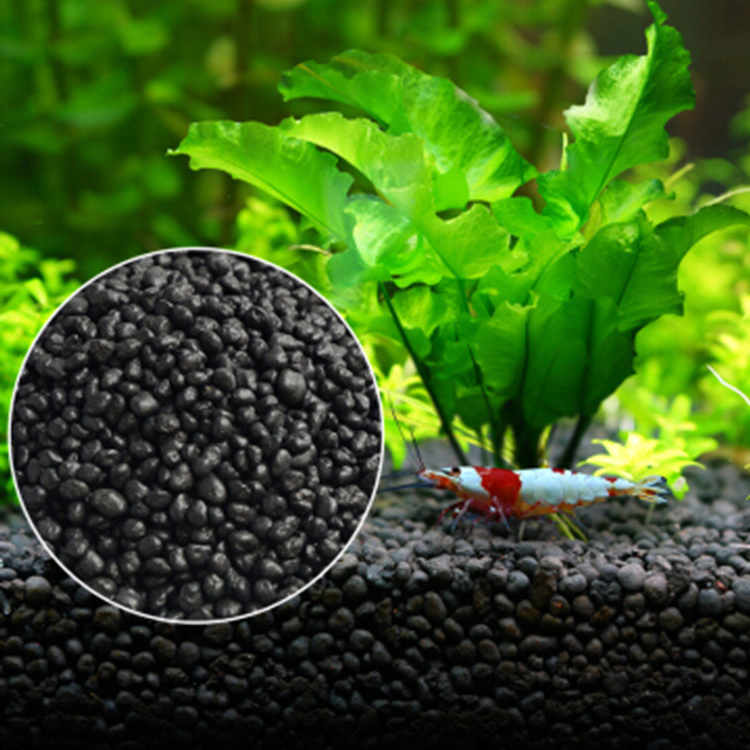 Acquario semi di piante terren - Aquarium Plant Gravel recensione e prezzo