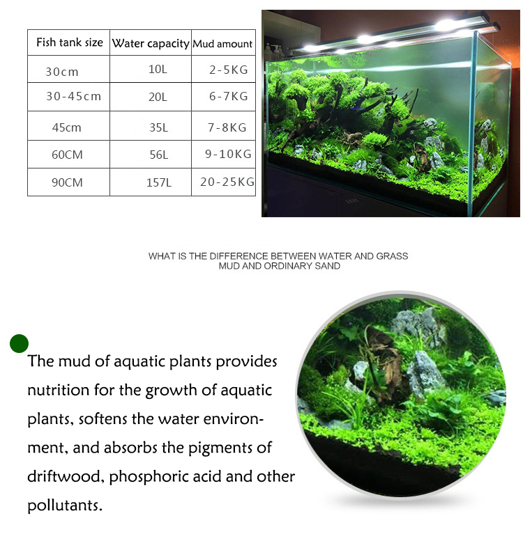 Acquario semi di piante terren - Aquarium Plant Gravel recensione e prezzo