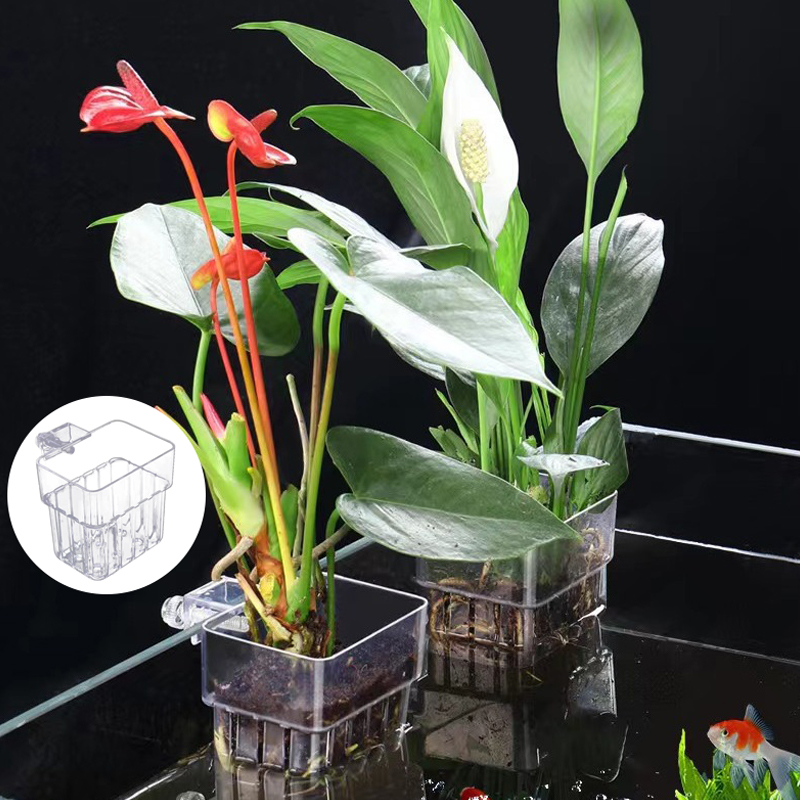 Multifunzionale Fish Aquarium  - Aquarium For Planted Tank recensione e prezzo