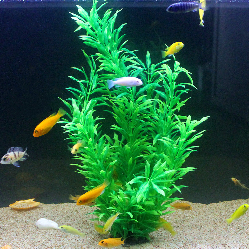 50CM Acquario artificiale Pian - Aquarium For Planted Tank recensione e prezzo