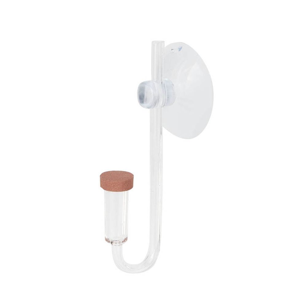 Mini acquario acrilico Pianta  - Aquarium Plant No Co2 recensione e prezzo
