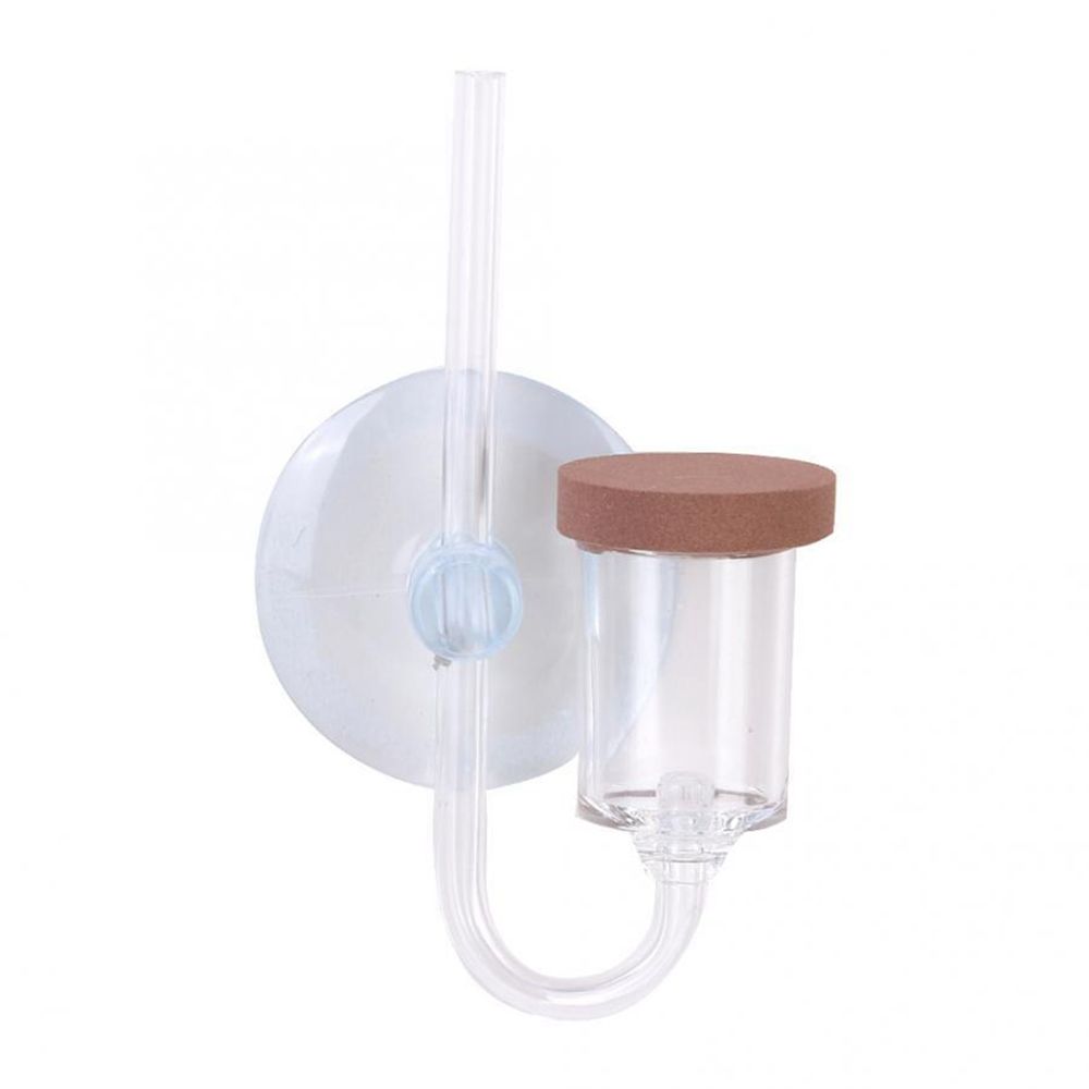 Mini acquario acrilico Pianta  - Aquarium Plant No Co2 recensione e prezzo